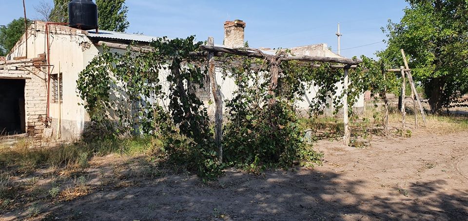 89385320_884207792055002_4912378431167004672_o