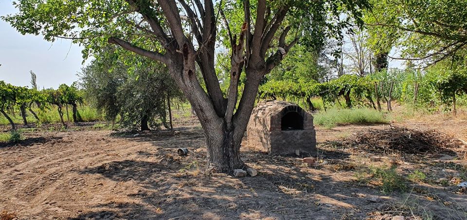 89819277_884207952054986_331164119078010880_o